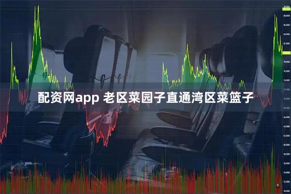 配资网app 老区菜园子直通湾区菜篮子