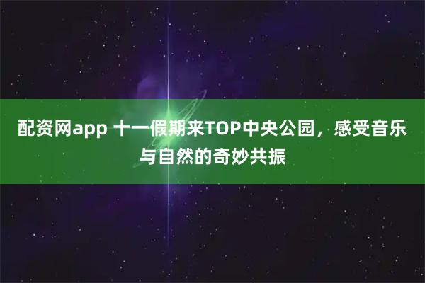 配资网app 十一假期来TOP中央公园，感受音乐与自然的奇妙共振