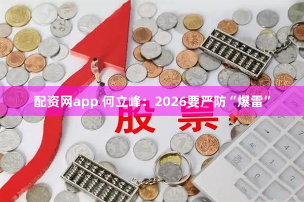 配资网app 何立峰：2026要严防“爆雷”